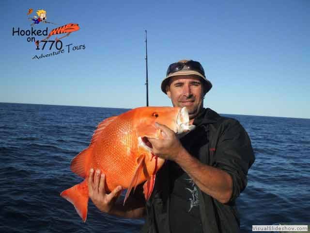 12vlt-First-Red