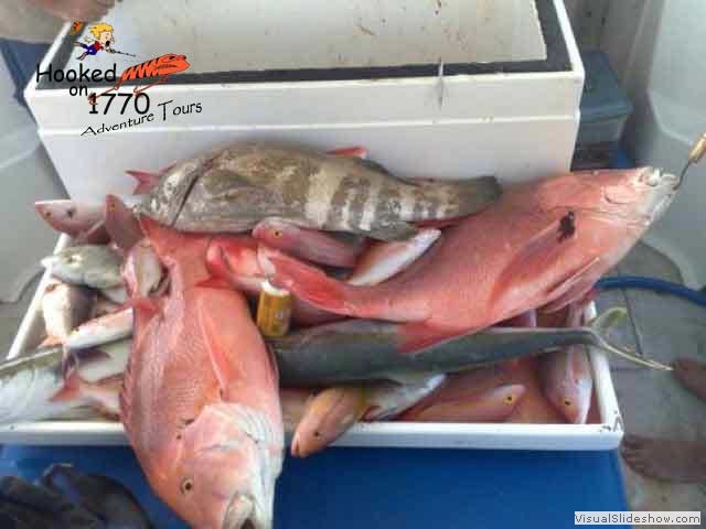 Good-mixed-bag