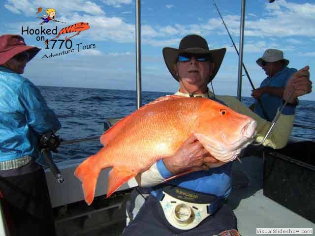 Large-Red