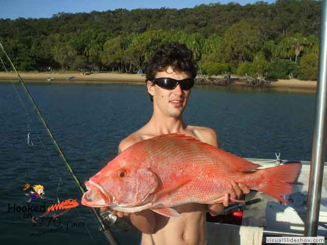 Nannygai
