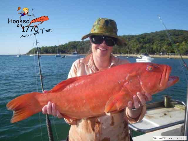 Nice-Trout