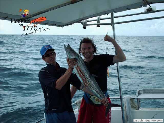 Spanish-Mackerel