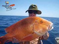 Big-red