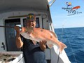 Coral-Trout