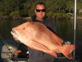 Eddie-England-12kg-Red