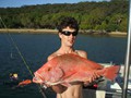 Nannygai